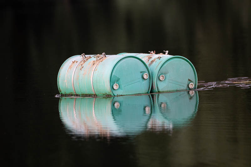 Floating Barrels Reflection